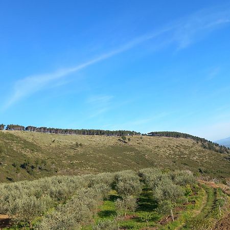 Vila Dean Berat Dış mekan fotoğraf