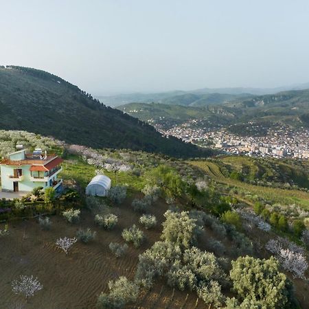 Vila Dean Berat Dış mekan fotoğraf
