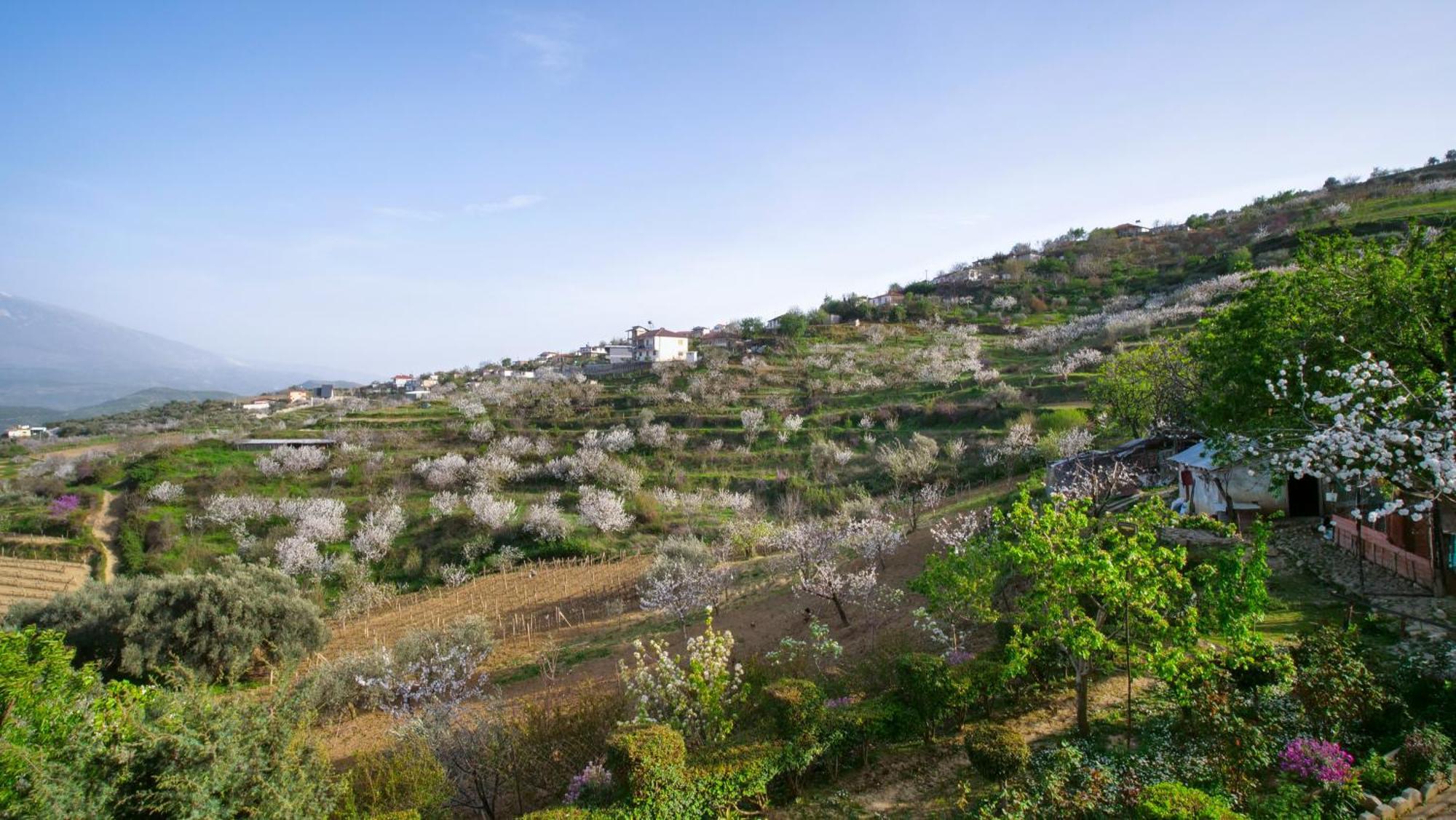 Vila Dean Berat Dış mekan fotoğraf