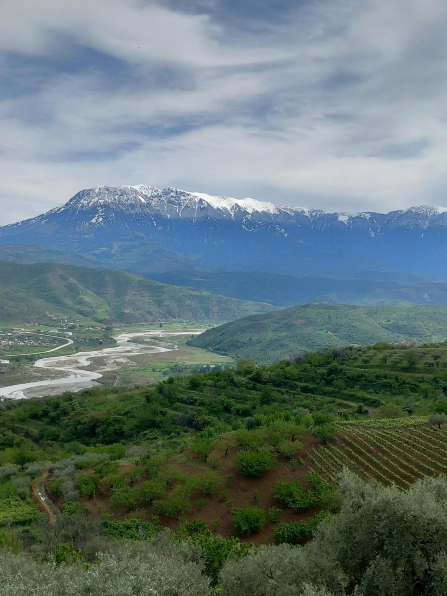 Vila Dean Berat Dış mekan fotoğraf
