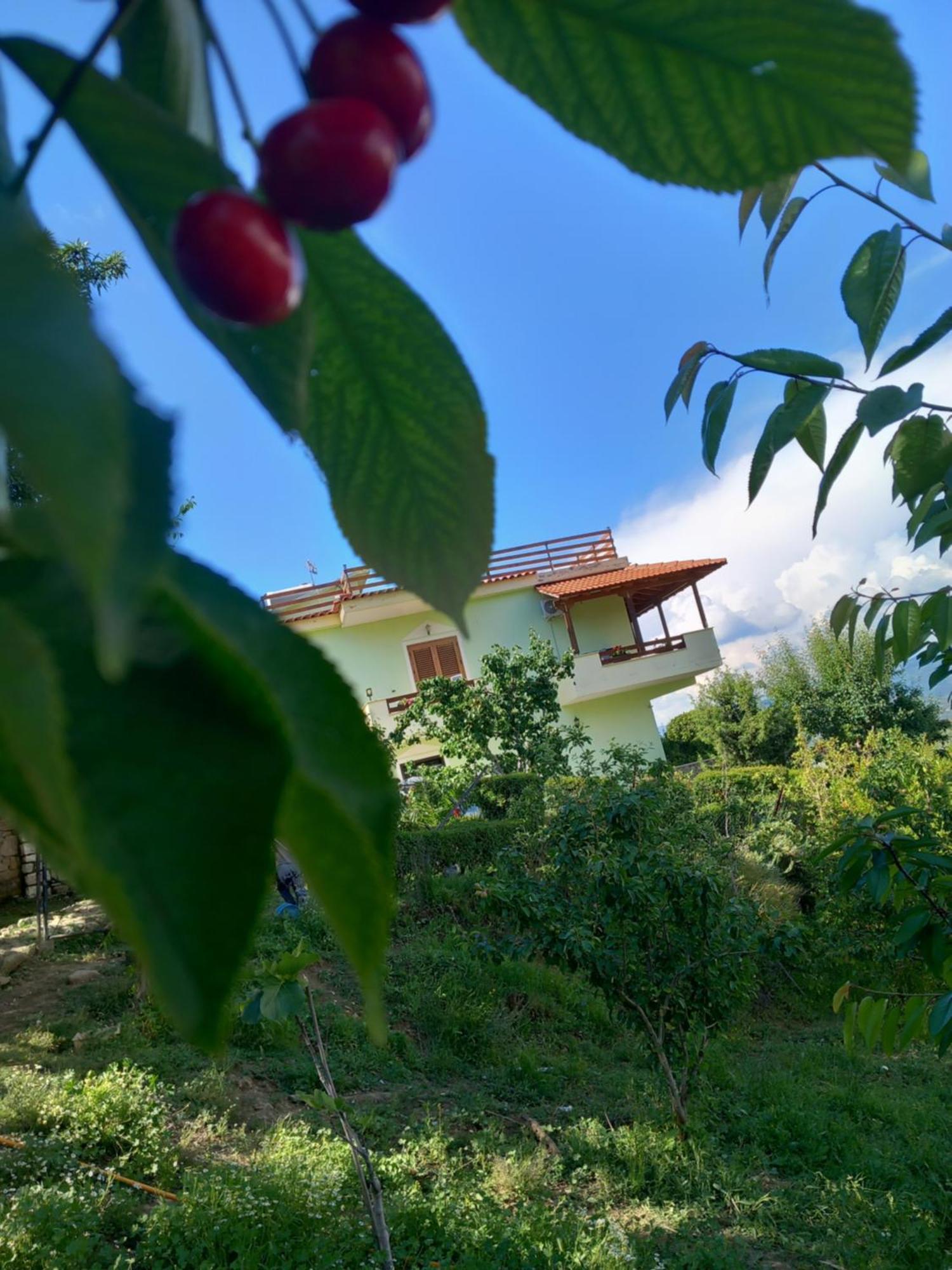 Vila Dean Berat Dış mekan fotoğraf