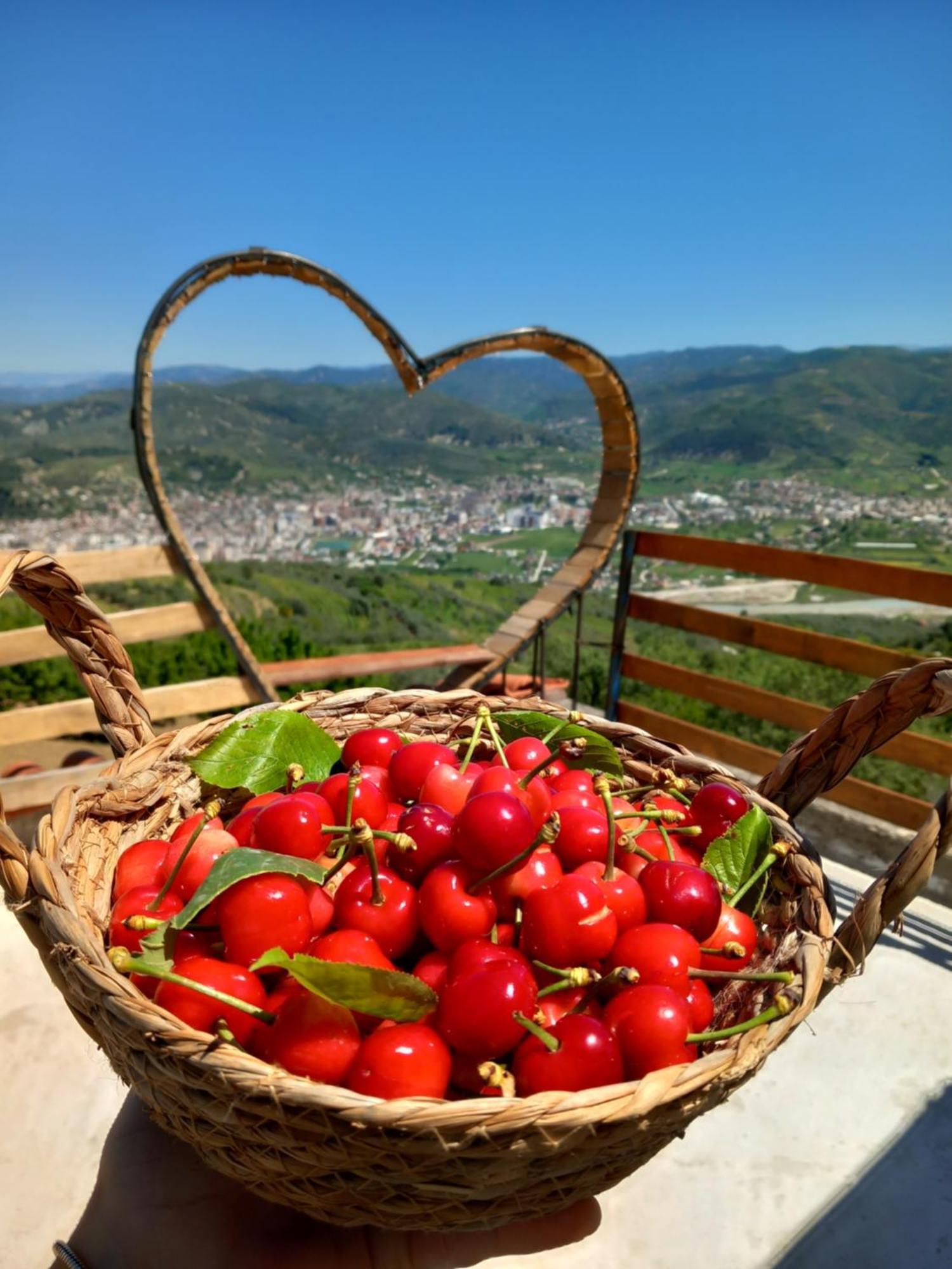 Vila Dean Berat Dış mekan fotoğraf